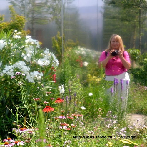woman photographer in the garden.Nadia Mikushova 2015 Copyright